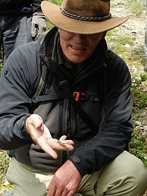 sometime co-leader Alan Harrison © Teresa Farino